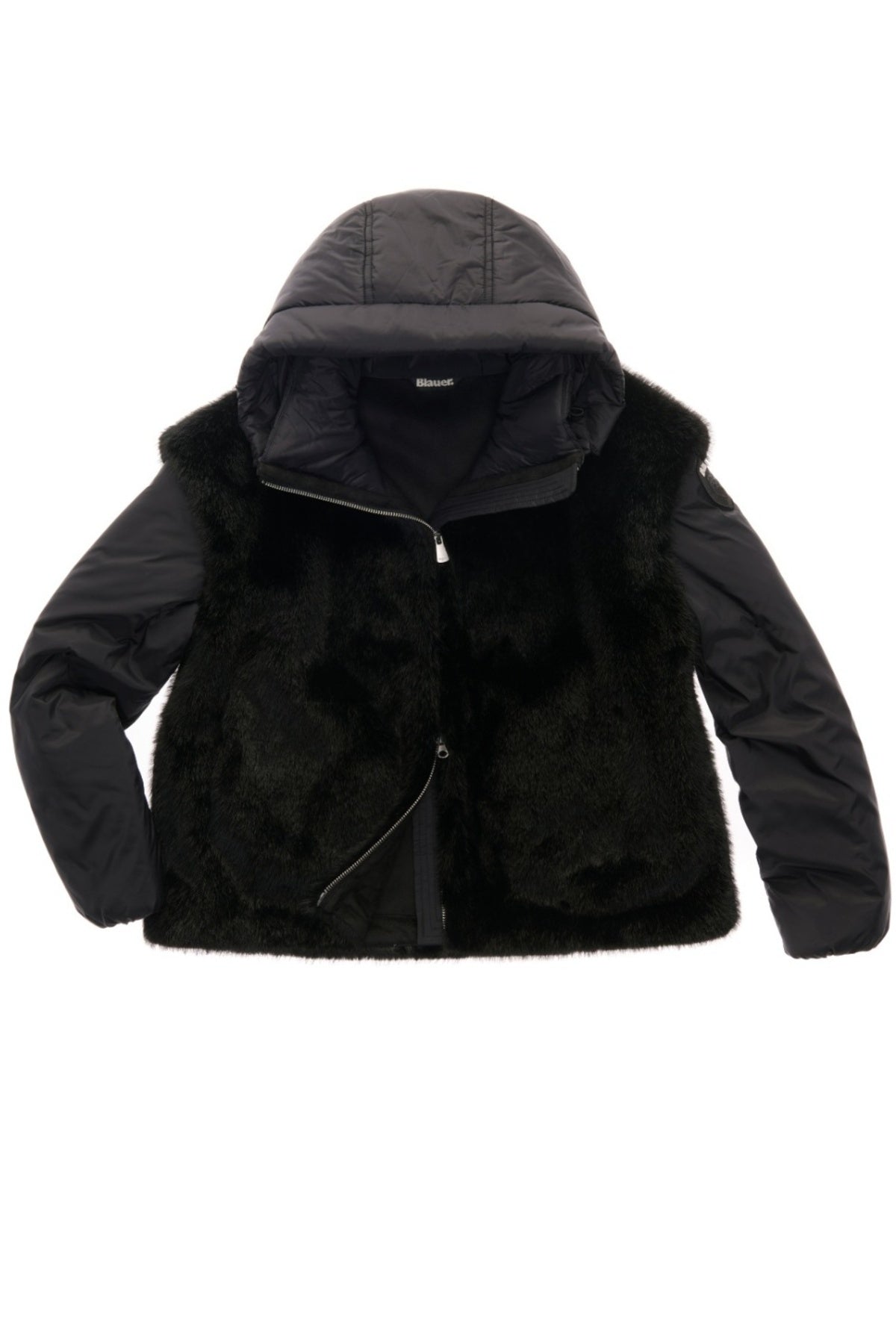 BLAUER JUNIPER en color   (1)