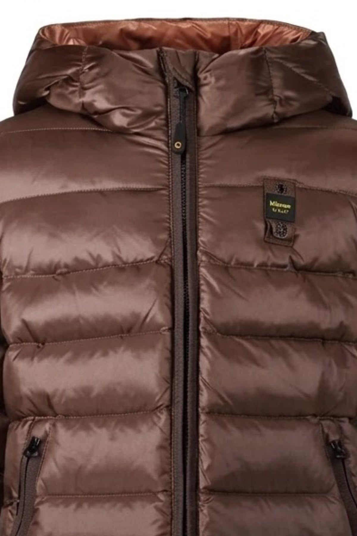 BLAUER ADELAIDE en color BBW  (2)