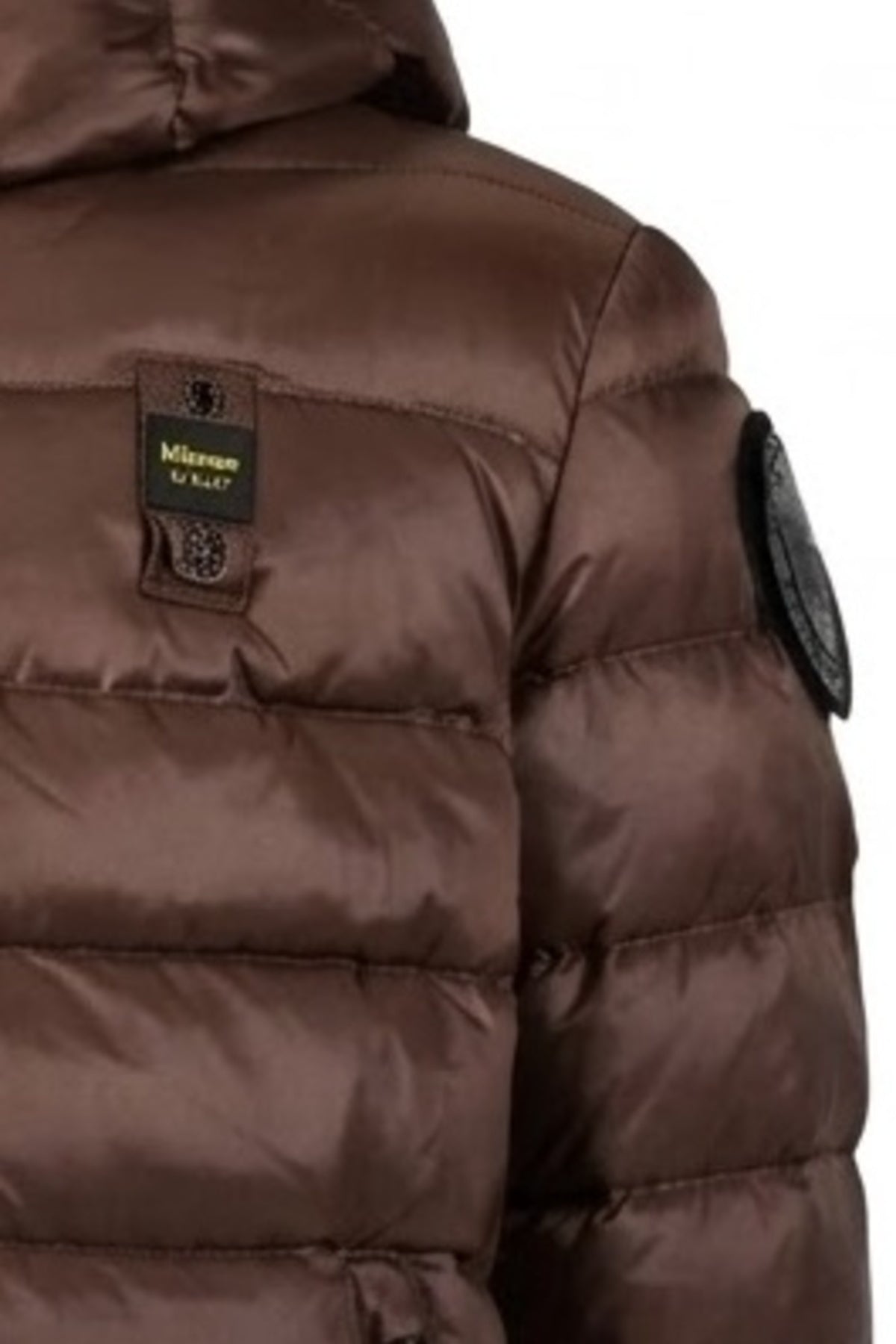 BLAUER ADELAIDE en color BBW  (3)
