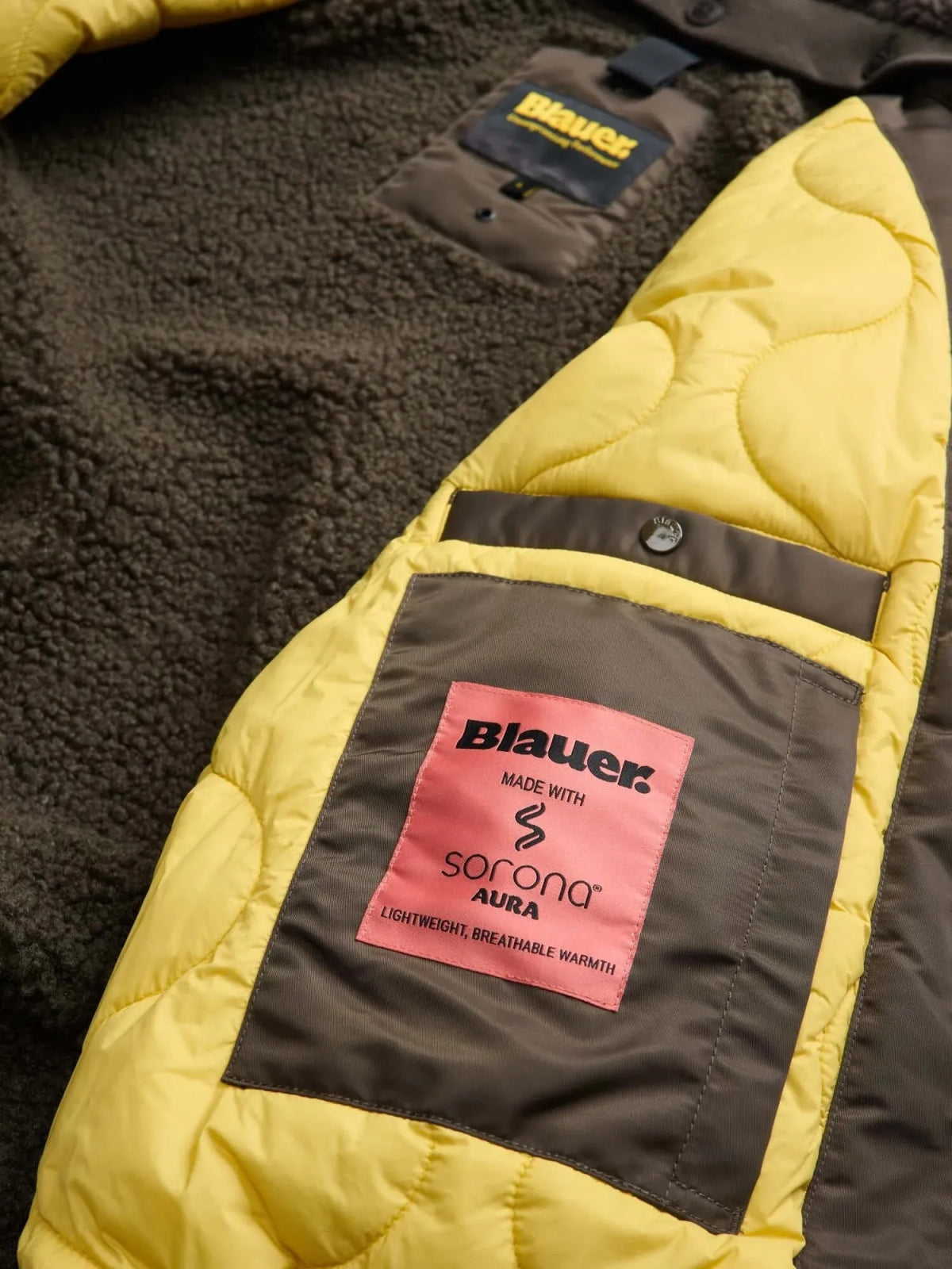 BLAUER MARSHALL en color   (3)