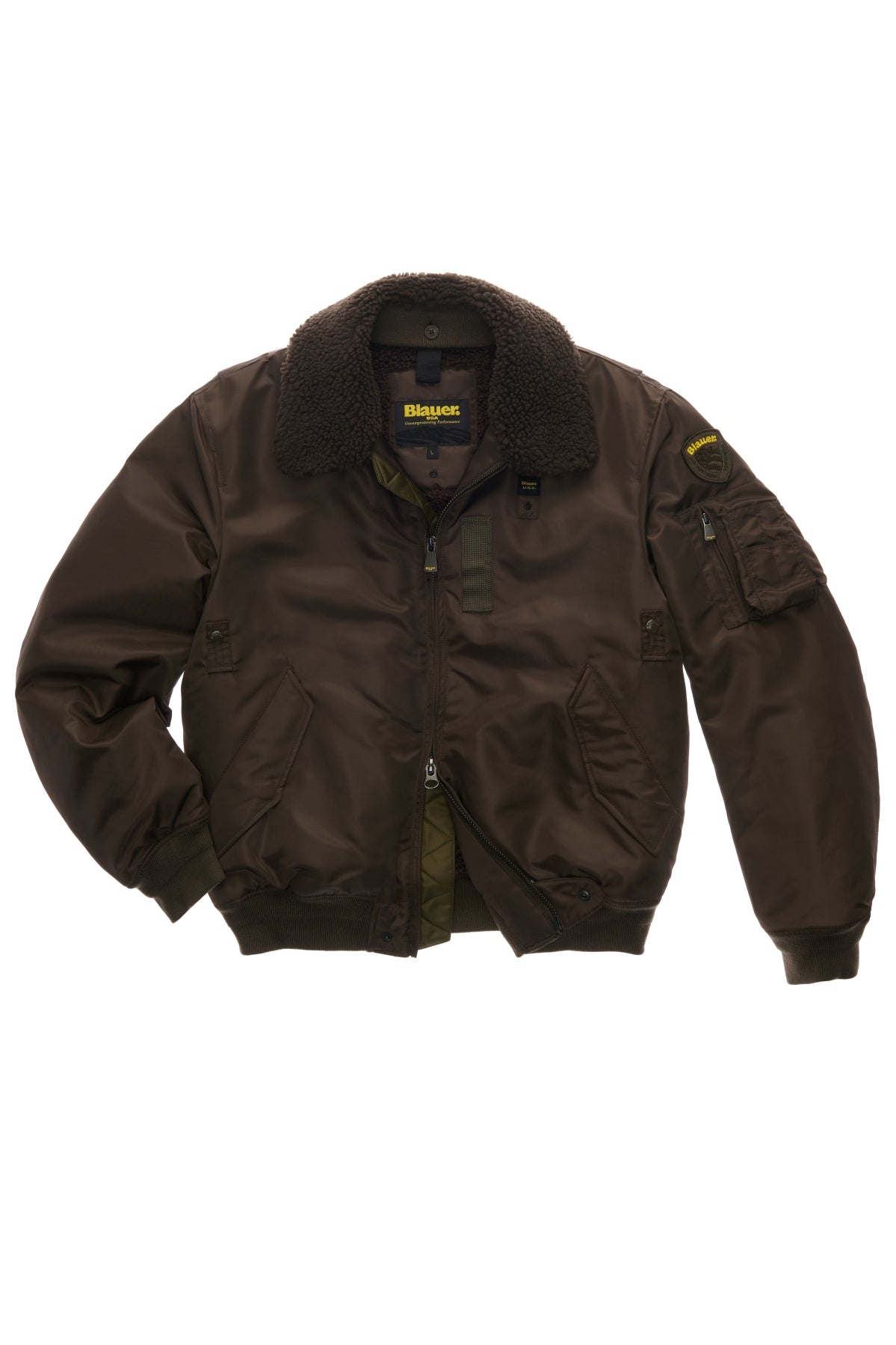 BLAUER MARSHALL en color   (4)