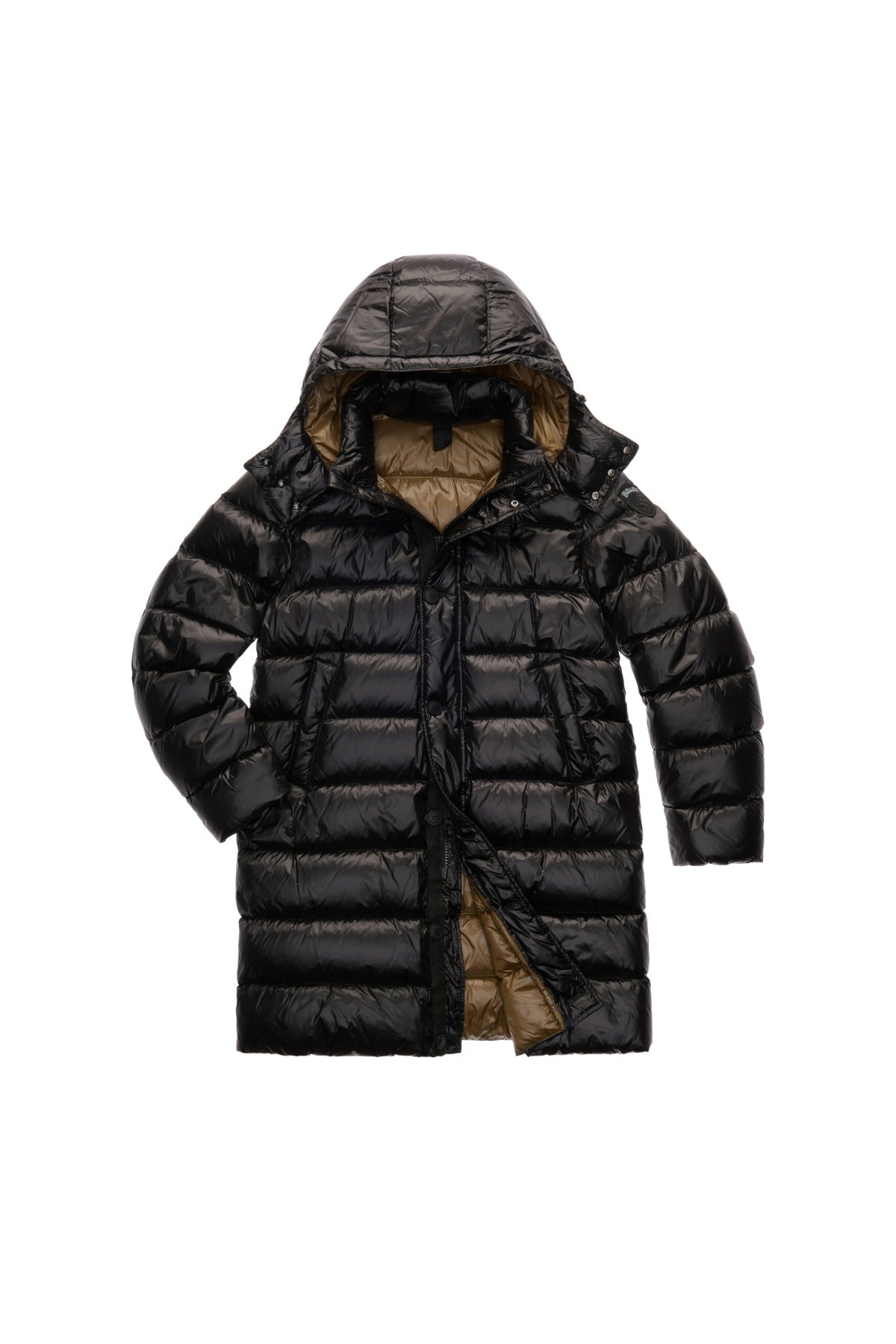BLAUER CARVER en color LT  (3)