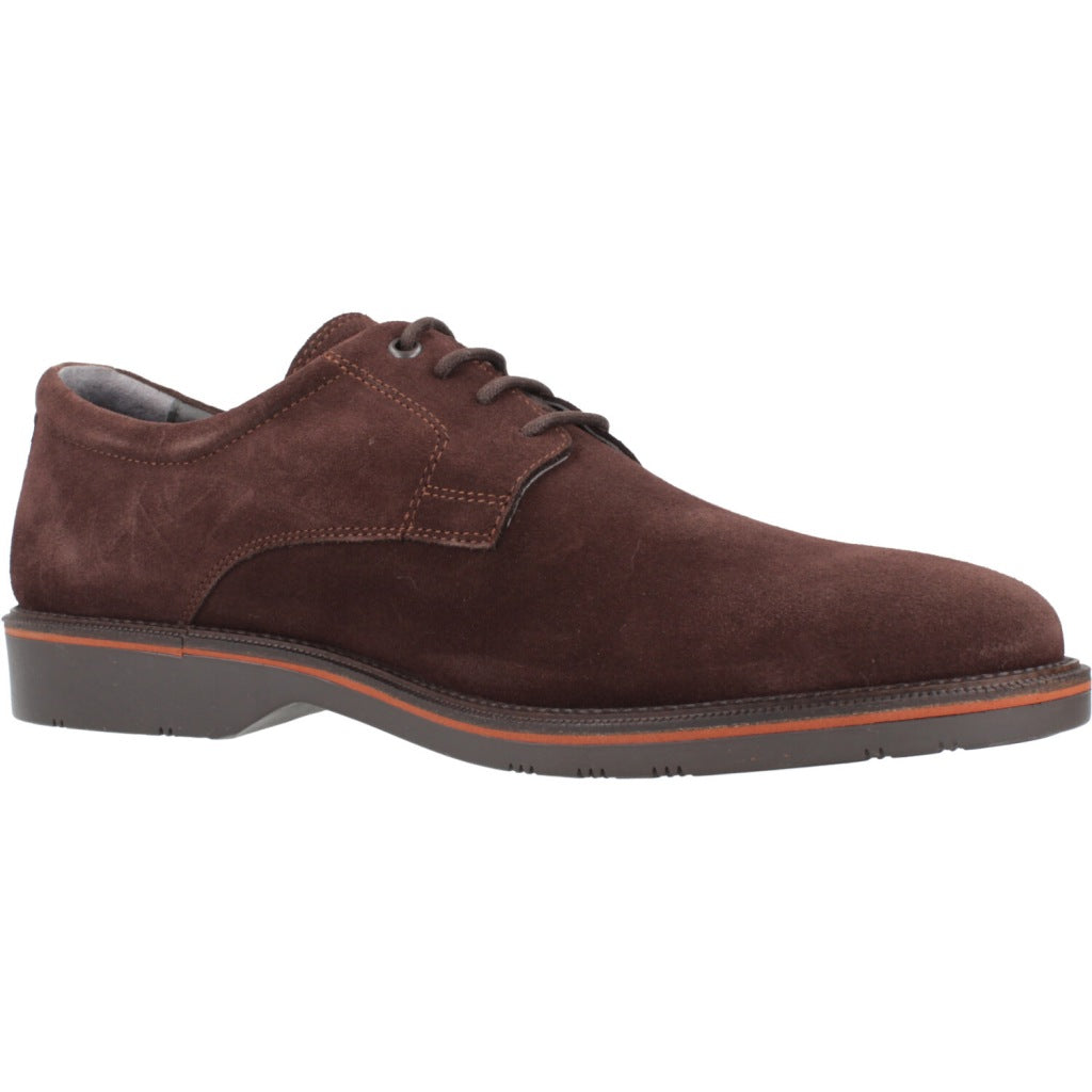 MARTINELLI WATFORD en color DRKBWN  (5)