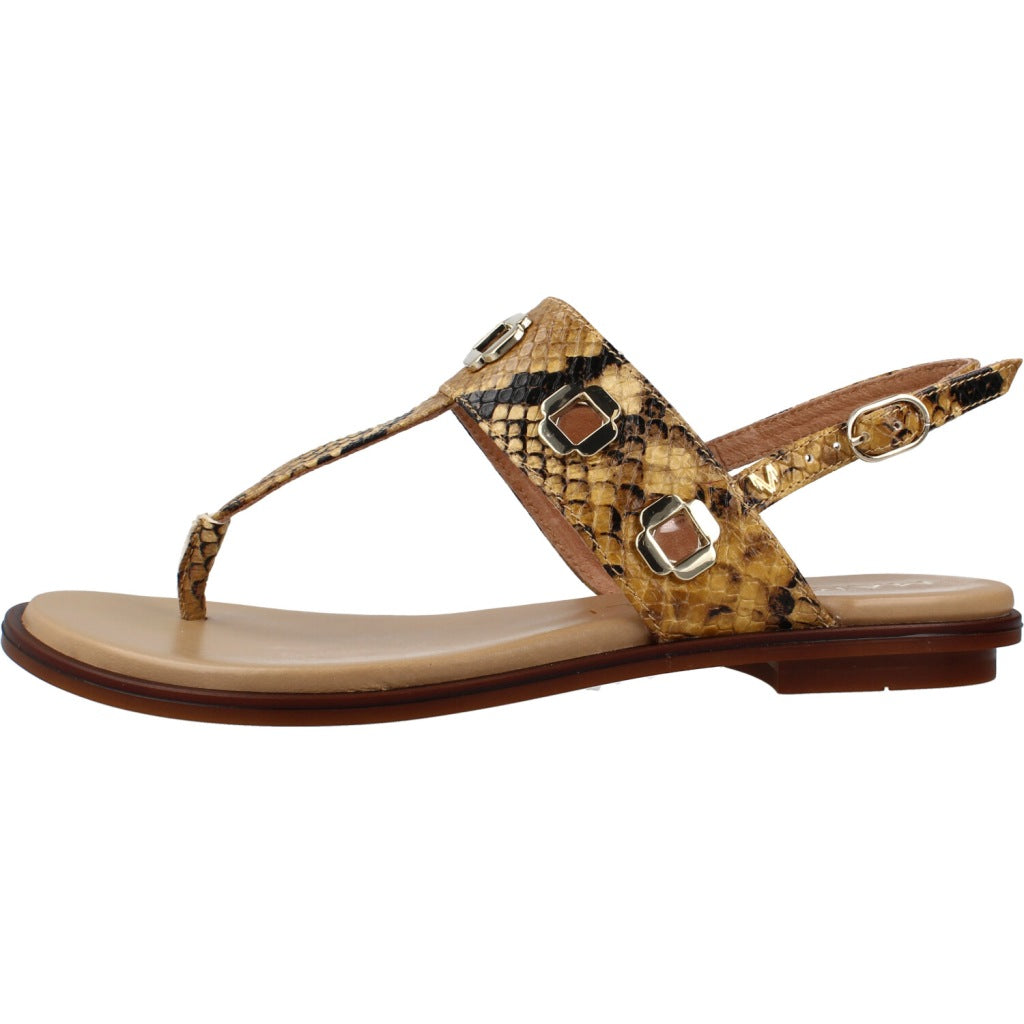 MARTINELLI  BT MAZZINI en color TAUPE  (2)