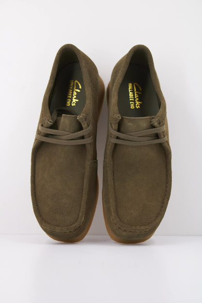CLARKS C en color DRKOLV  (3)