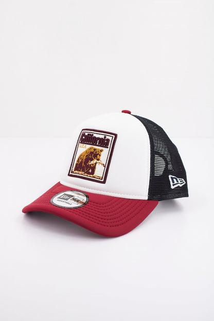NEW ERA GRAPHIC PATCH TRUCKE en color WHICHJ  (1)