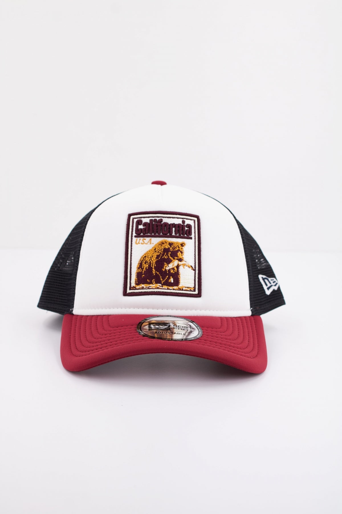 NEW ERA GRAPHIC PATCH TRUCKE en color WHICHJ  (2)