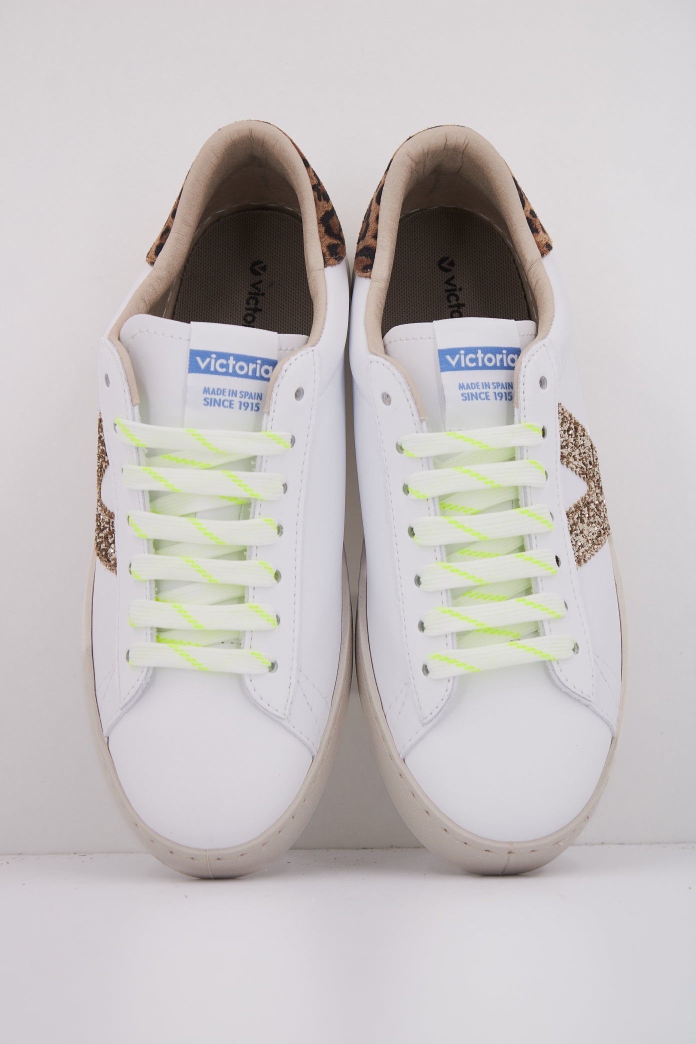 VICTORIA V en color PLATNO  (3)