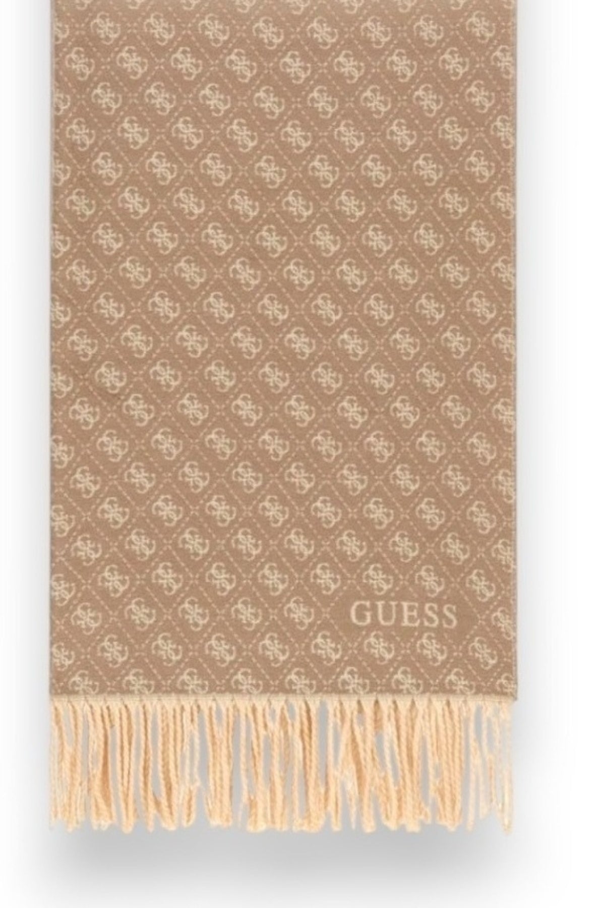 GUESS AW VIS  X  en color TMU  (2)