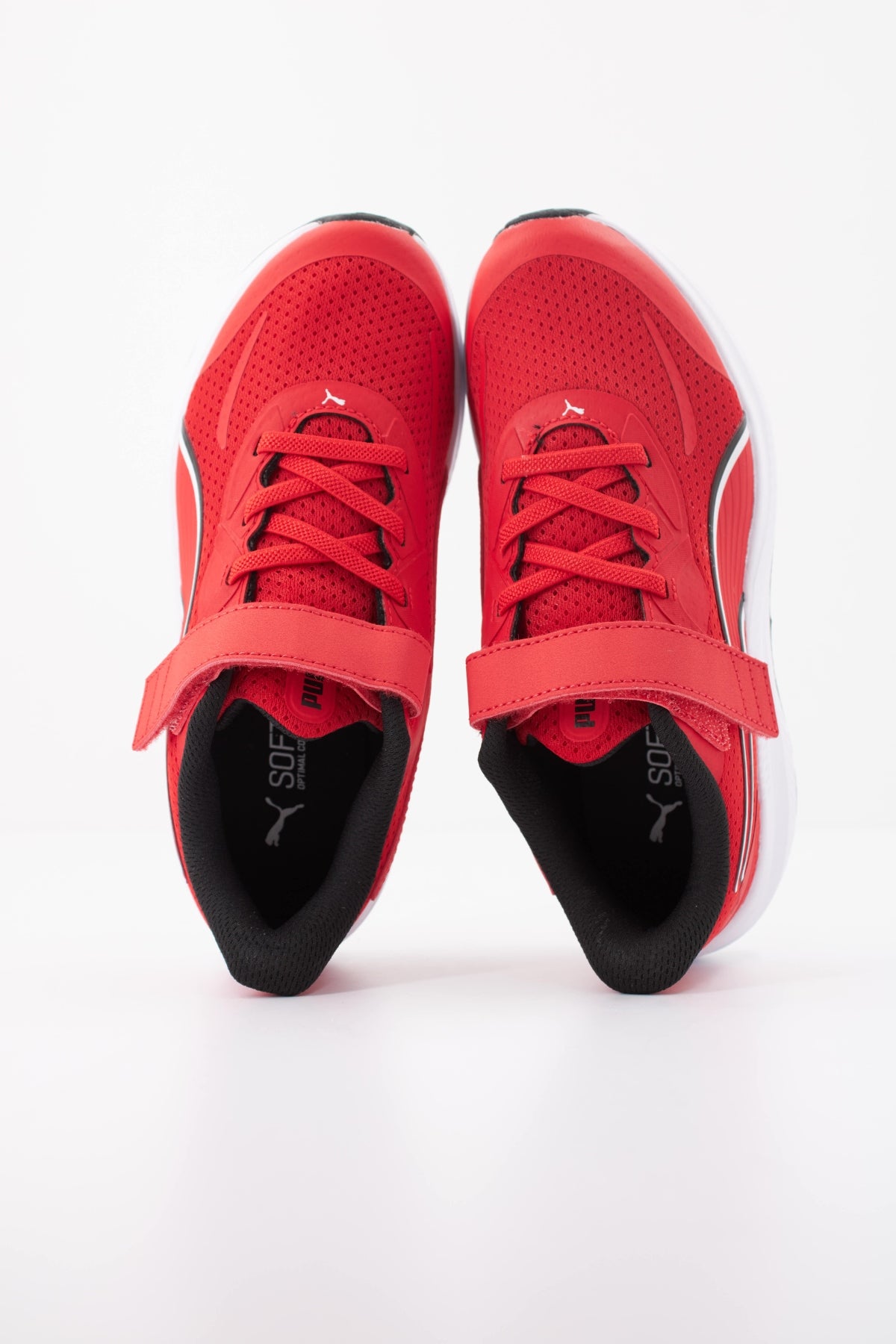 PUMA   en color RED  (3)
