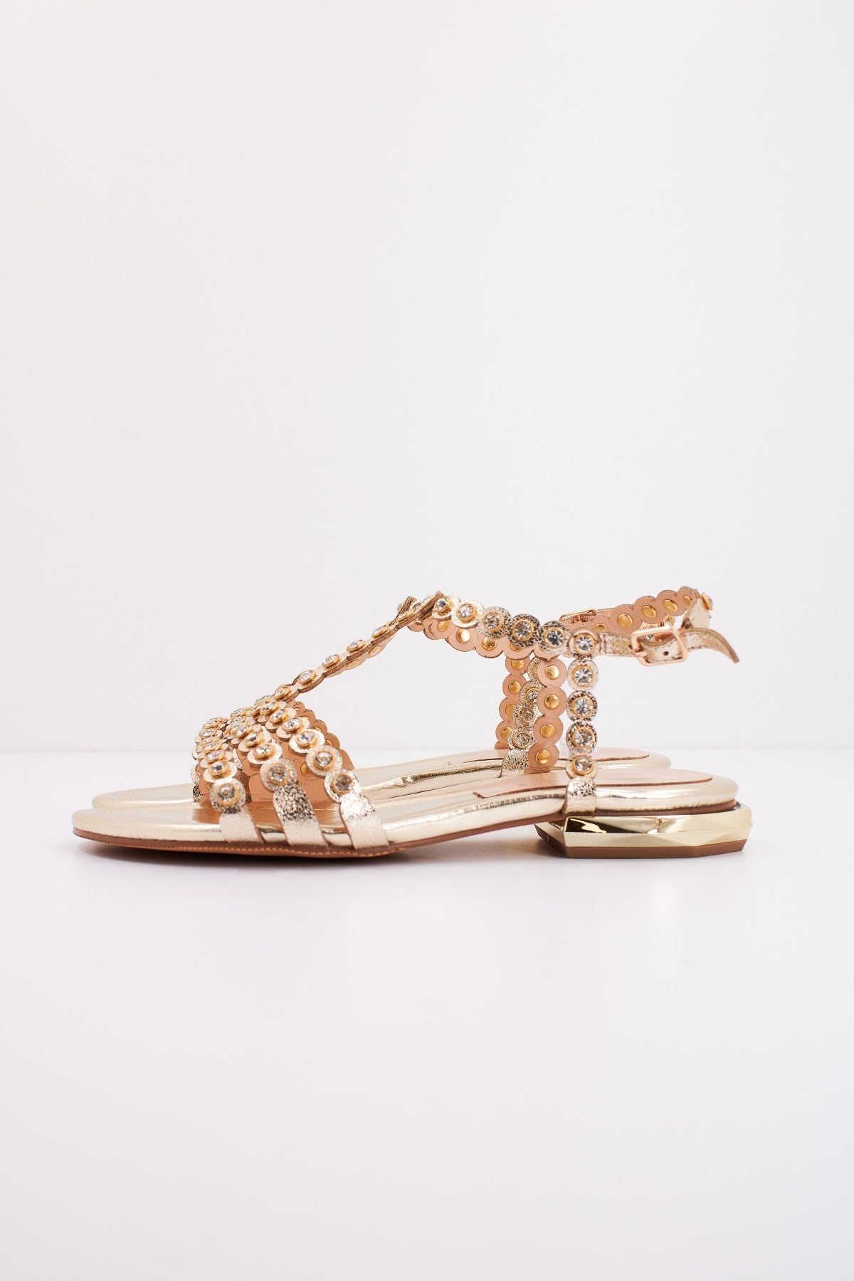 CAFENOIR CGD  en color L  (1)