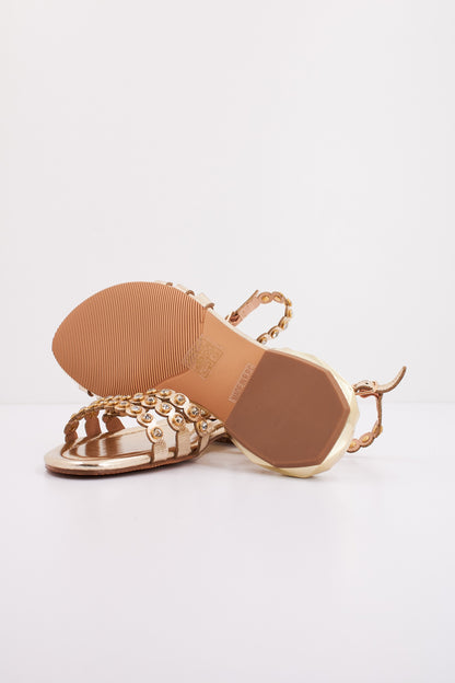 CAFENOIR CGD  en color L  (5)