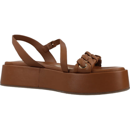 CAFENOIR CGD  en color M  (5)