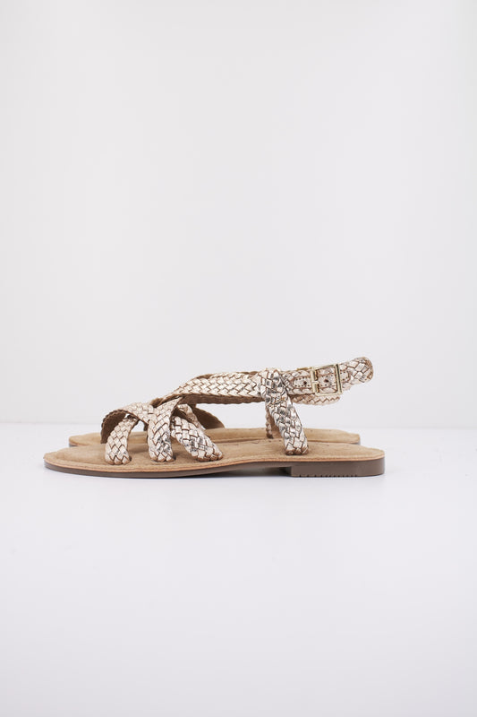 CARMELA c en color ORO  (1)