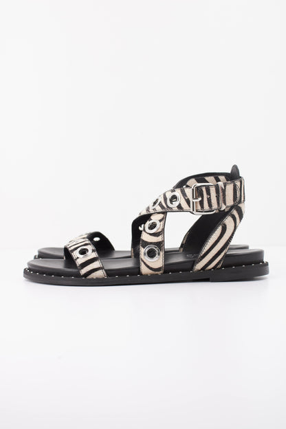 CARMELA C en color ZEBRA  (1)