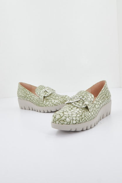 WONDERS DAMLA en color OIL  (2)