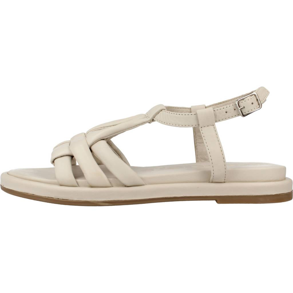 WONDERS A en color OFF  (2)