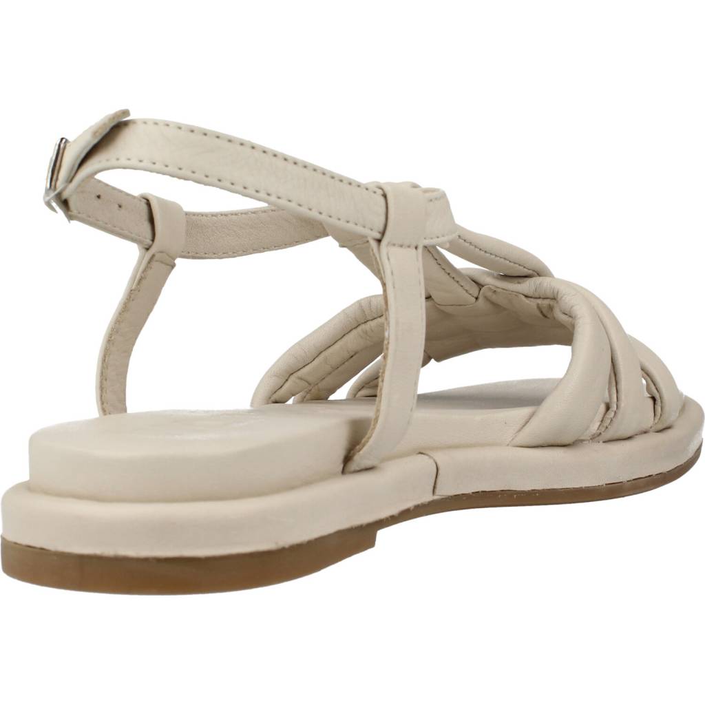 WONDERS A en color OFF  (3)