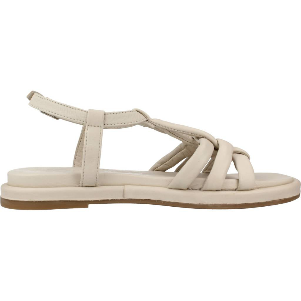 WONDERS A en color OFF  (4)