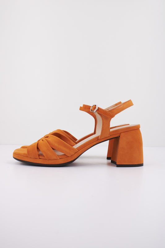 WONDERS GISELA en color APRICOT  (1)