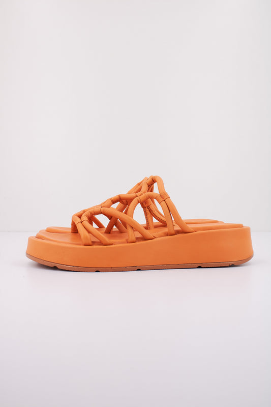 WONDERS AT  en color CORAL  (1)