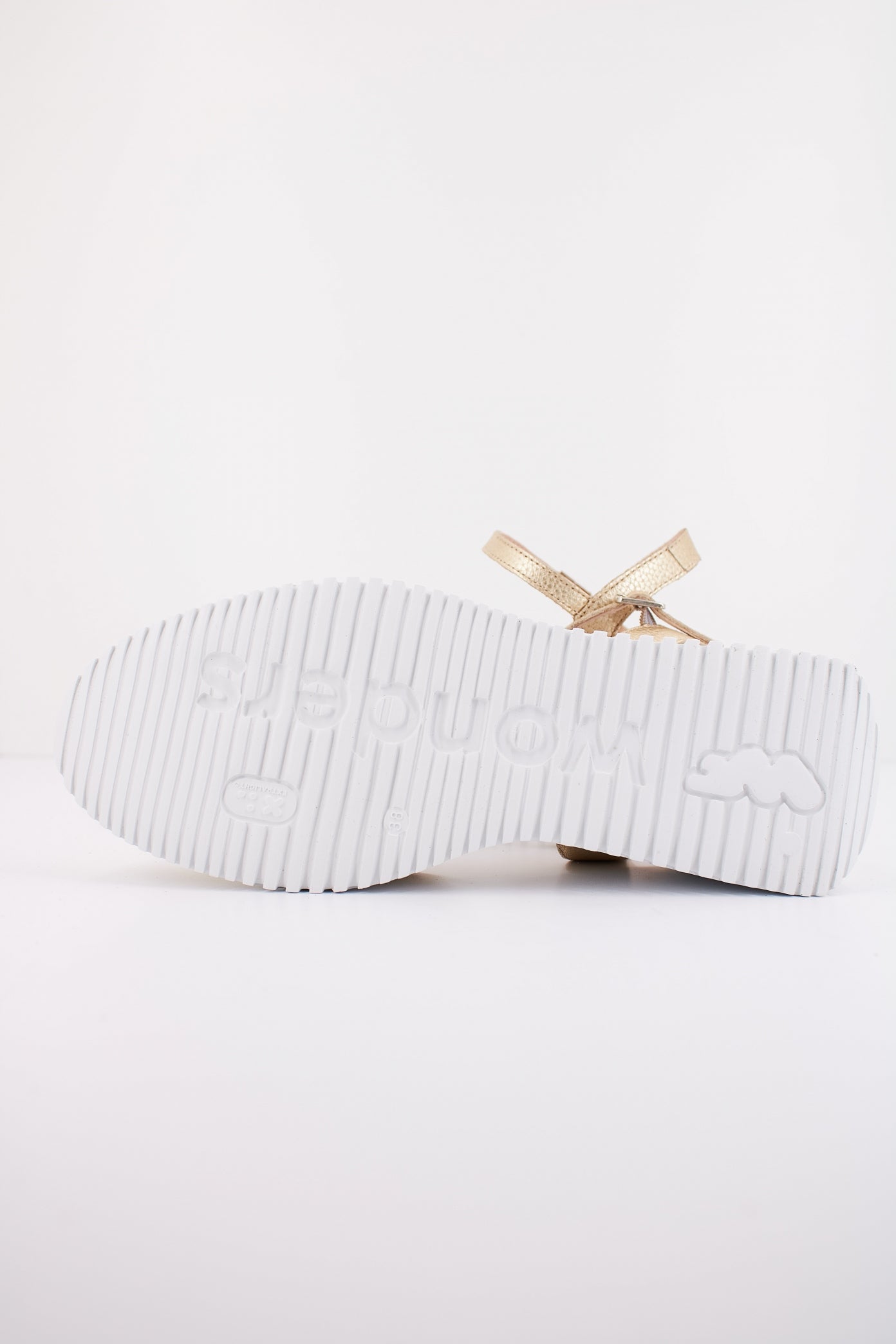 WONDERS G en color PLATINO  (4)