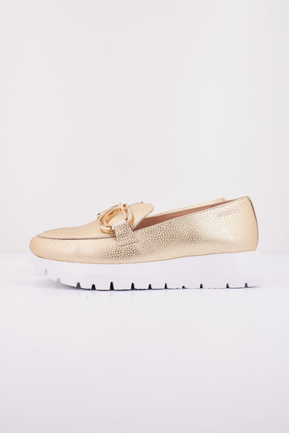 WONDERS A en color PLATINO  (1)