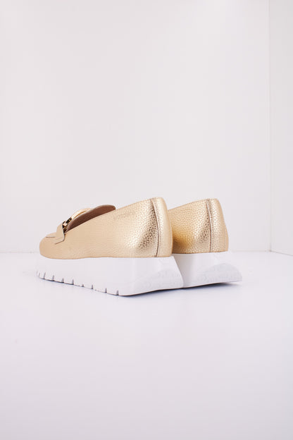 WONDERS A en color PLATINO  (3)