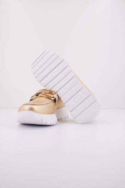 WONDERS A en color PLATINO  (4)