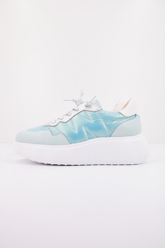 WONDERS A  en color QCLCD  (1)