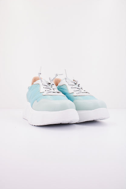 WONDERS A  en color QCLCD  (2)