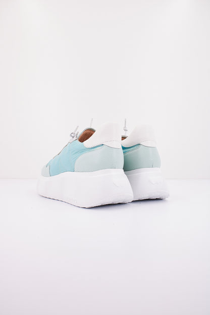 WONDERS A  en color QCLCD  (3)