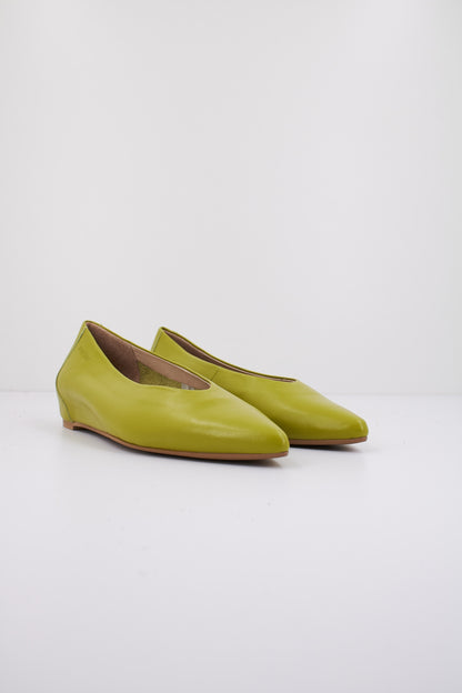 WONDERS A  en color APPLE  (2)