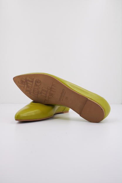 WONDERS A  en color APPLE  (4)