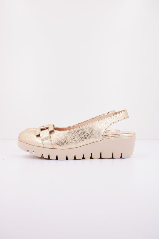 WONDERS C  en color PLATINO  (1)