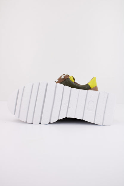 WONDERS A en color TPLGCYBR  (5)