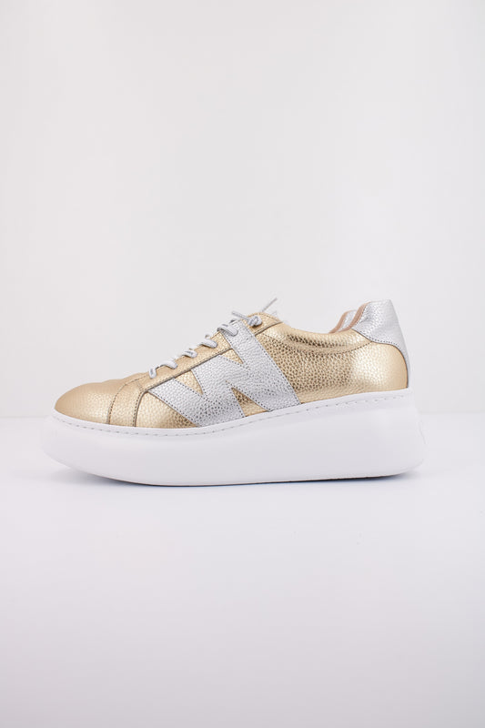 WONDERS MAX en color PLTNPLT  (1)