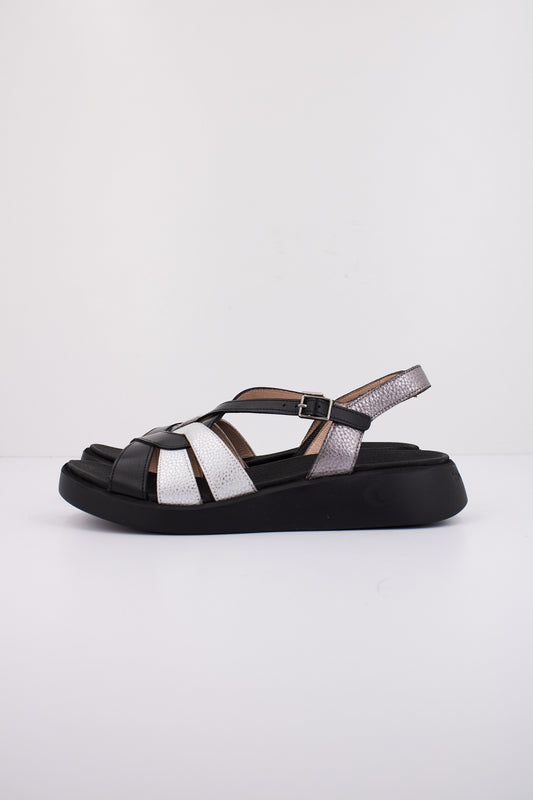 WONDERS AISE MAX en color NGRPLT  (1)