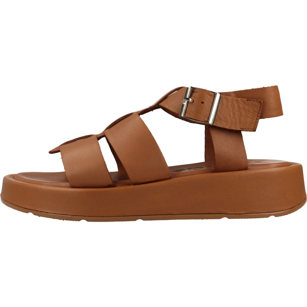 WONDERS AT  en color CNUT  (2)