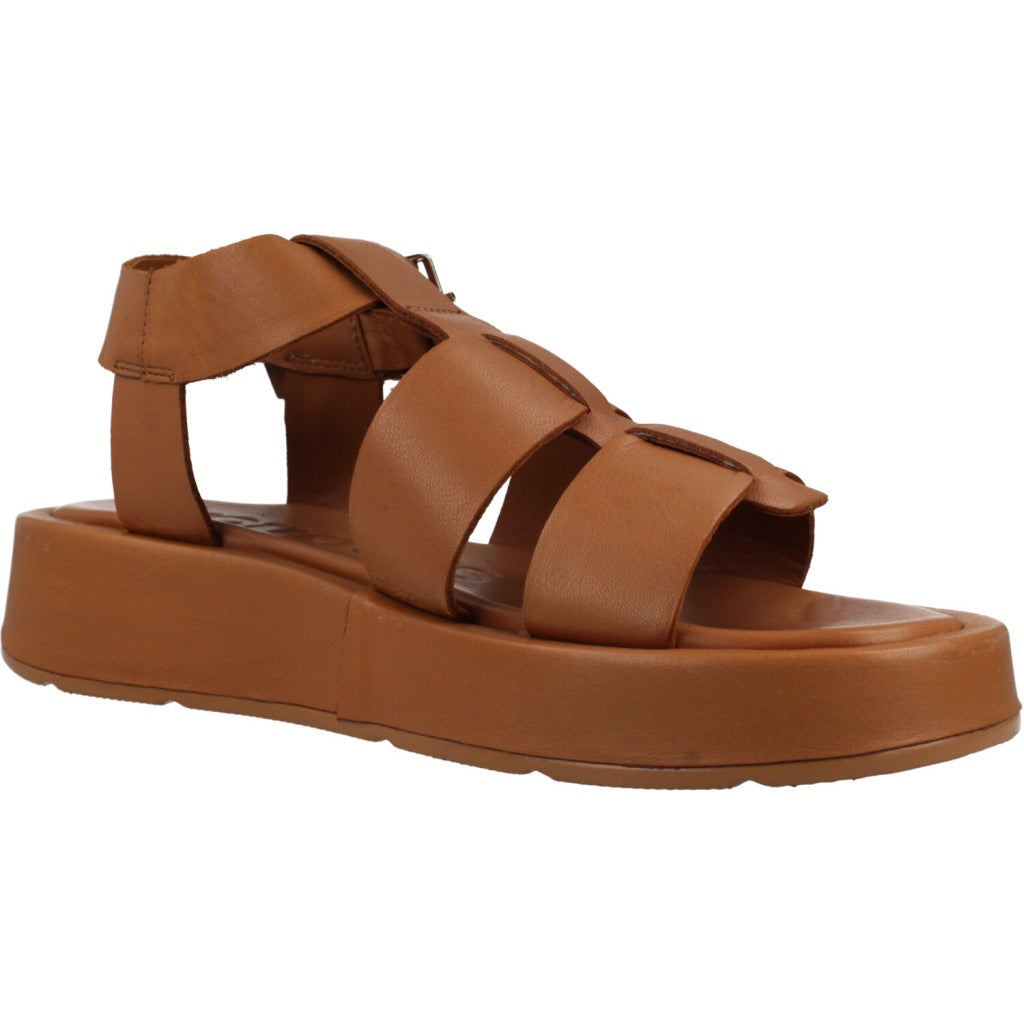 WONDERS AT  en color CNUT  (5)