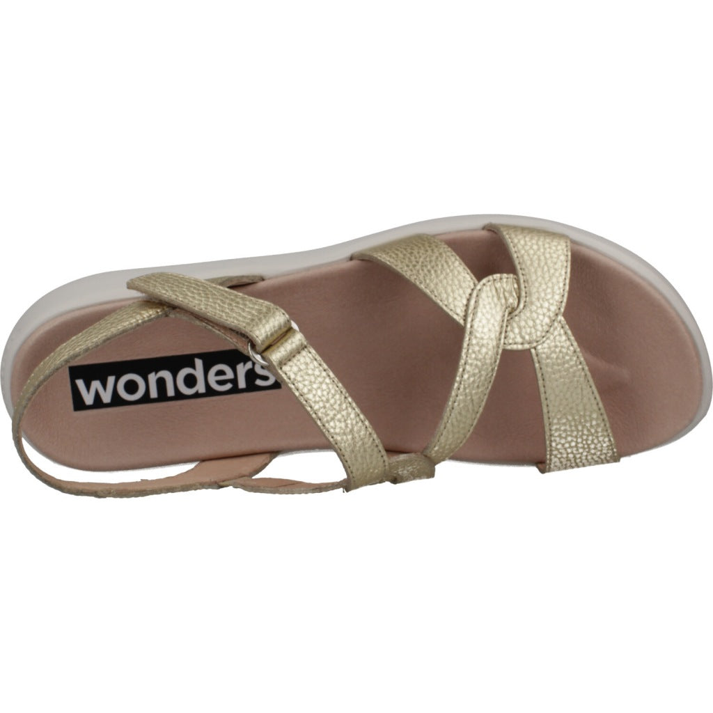WONDERS C en color PLTN  (7)
