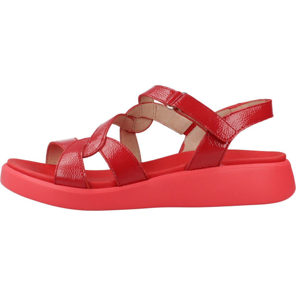 WONDERS C  en color ROJO  (2)