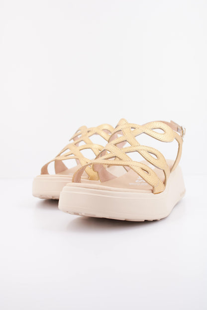 WONDERS AW en color ORO  (2)