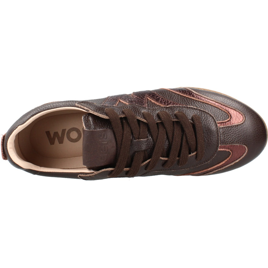 WONDERS AP COMBINACION en color CFECBR  (7)