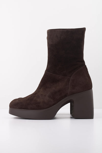 WONDERS H BOTA ISY en color TESTA  (1)