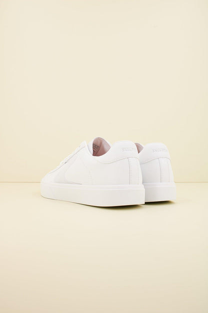 SKECHERS S  en color W  (3)