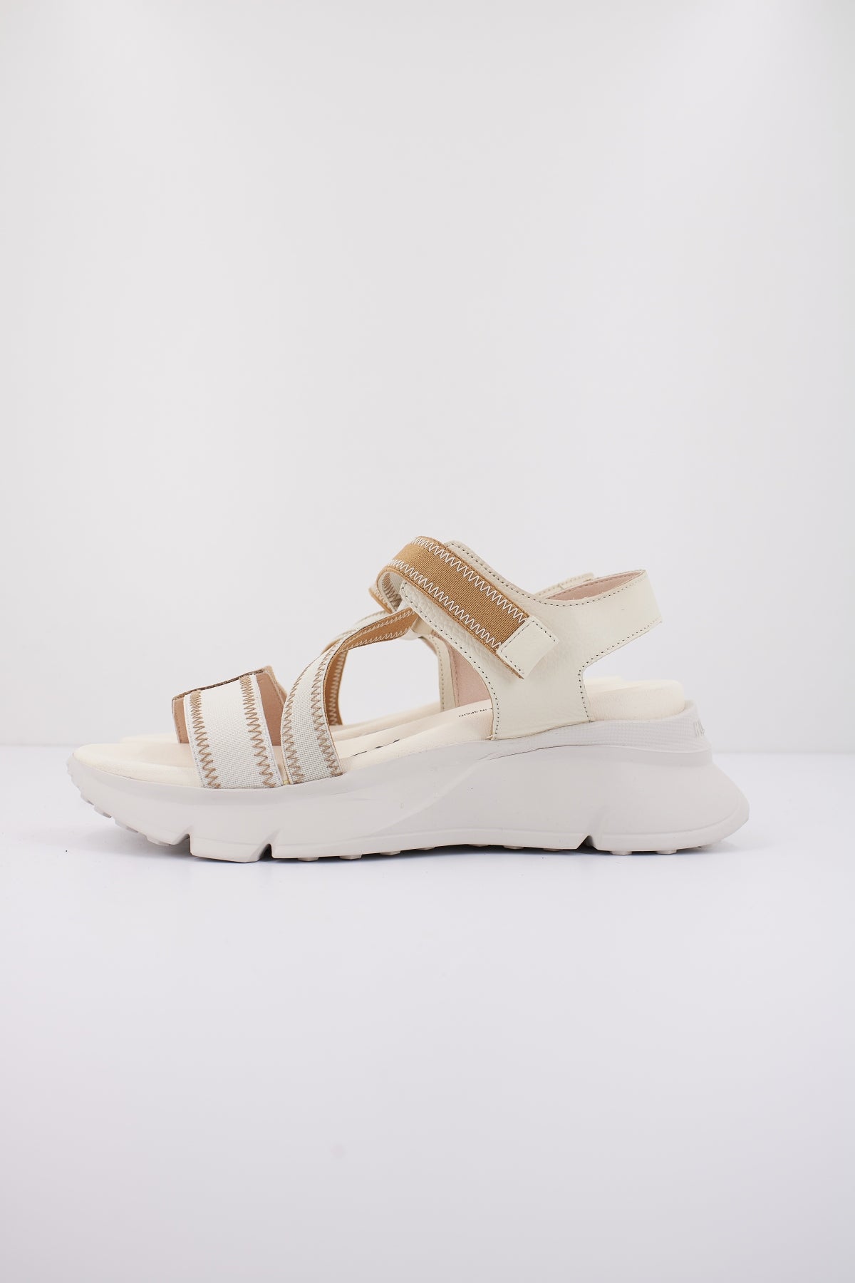 HISPANITAS JAMAICA en color NATA  (1)