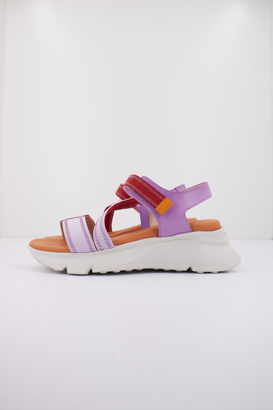 HISPANITAS JAMAICA en color VIOLET  (1)