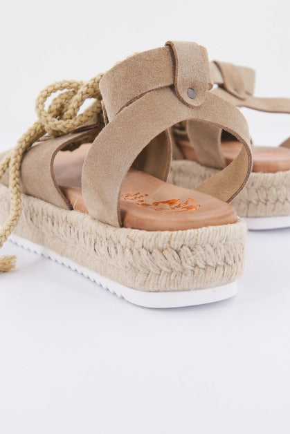 PORRONET P  en color ARENA  (3)