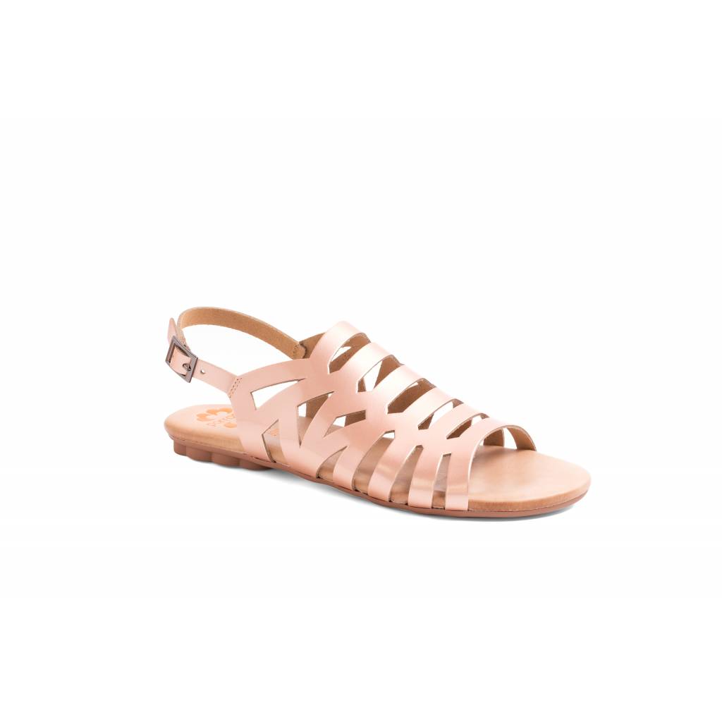 PORRONET  en color ROSE  (2)